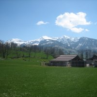 Schule