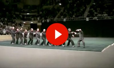 Video Tai Chi Masters Demonstration